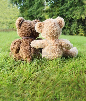 2 bears in love sitting in the grass enjoying nature