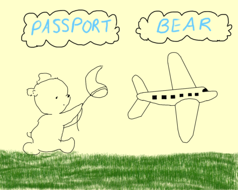 Passport Bear 1st